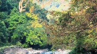 Nurture 2