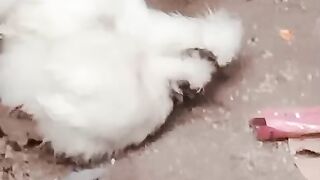 Subscribe 34