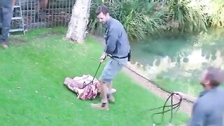 Huge Crocodile