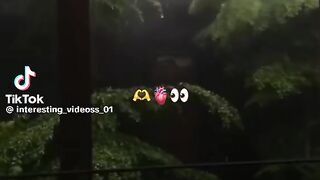 Videos song 2