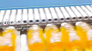 full video 339
