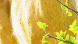 Beautiful nature 236