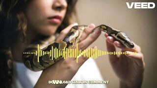 +![CLIP@@ VIDEOS] one girl fifty snake viral video one girl fifty snake tummy tear one girl 50 snake video original