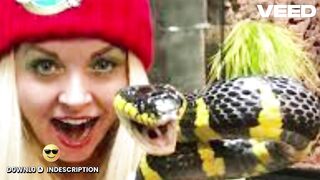 [Scandal FULL] one girl 50 snake video one girl fifty snake one girl fifty snake viral video