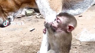see this video 22