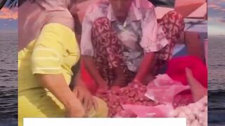 GAK HABIS PIKIR ???? Yang jual udah tua, masih tega juga diambil diam-diam. Dimana hati nuraninya? :(