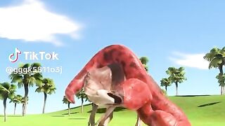 watching full video 20