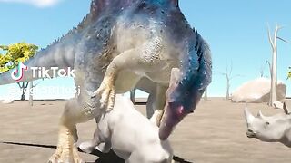 full video 340