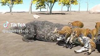 watching full video 21