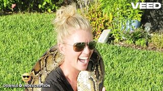 [Full++18 Video} one girl fifty snake one girl fifty snake viral video one girl fifty snakes