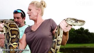 [Original 18++] 1 girl 50 snakes video one girl fifty snake video one girl 50 snakes video