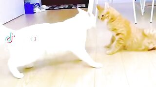 see this video 23
