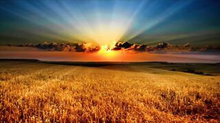 Relaxing Pods Production _Heart of Nowhere_ _ Peaceful Music, Removal Of Inner Anger And Sadness ★89