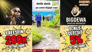 Detik - detik Pak Ustad di gigit Sapi