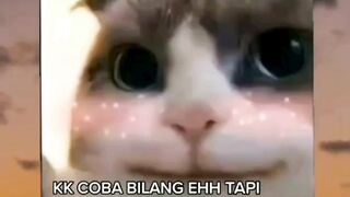 coba buktikan sendiri - Adobet88