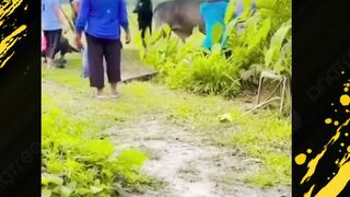 mau ngakak berdosa ga ya ustad ?
