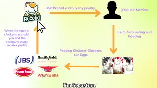 Your dream pkcoild company