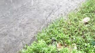Rain Satisfing
