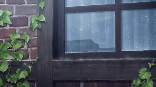Ameku  Detective S1 Ep1 [Hindi Dub]