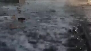 فيضانات تاريخية تضرب غرب فرنسا