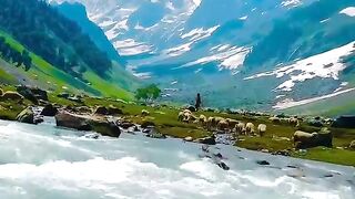 video full watching 5