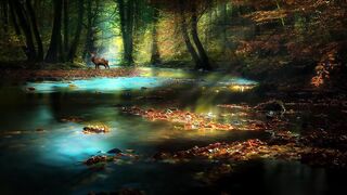 Relaxing Sleep Music 247, Stop Overthinking, Yoga, Meditation, Spa, Relax, Travel, Study Music