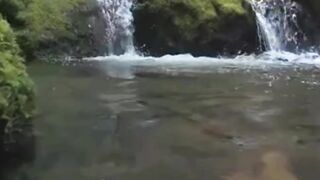 Beautiful nature 237