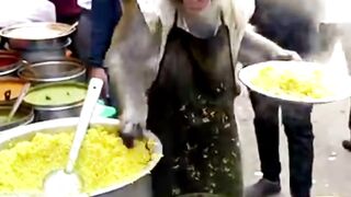 Monkeys  vlog video