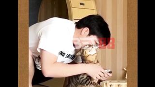 Mau potong kuku kucing? Siap-siap duel dulu.