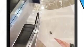 Geger Pria Bunuh Diri di Tunjungan Plaza Surabaya Usai Gadaikan HP