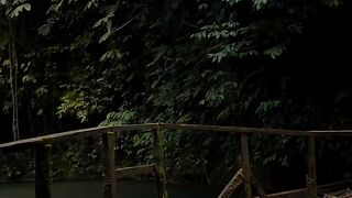 Dark Forest