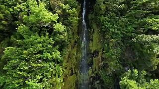 Waterfall in the forest 2