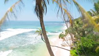 Sea and beach