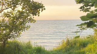 Sea Vibe Video