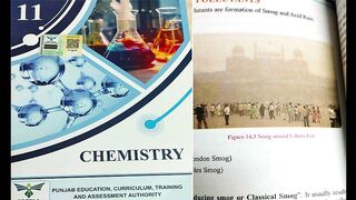 Punjab Curriculum Authoritys serious mistake Picture of Delhis Red Fort published in chemistry textbook