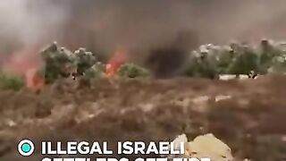 Settler Violence Escalates as Crops Near Ramallah Torched