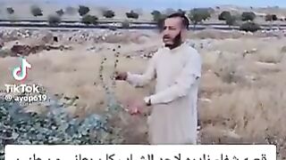 قصة شفاء من طنين الأذن.