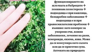 ТУЧЕНИЦАТА