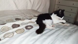 and  is waiting for her mother coming  need to manage it