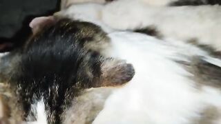 No place to sleep