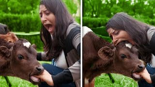Funny Moments Of The Year Compilation ???????????? PART 2
