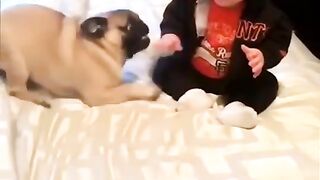 Cute laughing baby