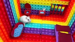 Hamster Escape Fish Bridge Pop it maze: The Best Hamster Video Of The Week..