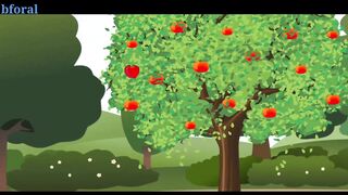 a for apple b for ball c for cat|alphabet a to z|abcd song|