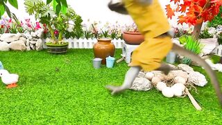 Smart Bim Bim monkey washes eggs in the bathtub and makes fried eggs part 2 | Funny monkey animation videos #babymonkeyanimal #Animal #bimbimonkey