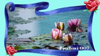 Beautiful nature ????????????????????????????
