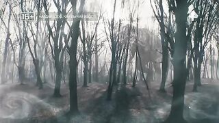 Самые шокирующие гипотезы (09.01.2023)