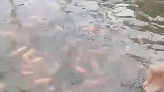 Kolam Ikan Nila