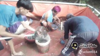 Panen ikan Lele