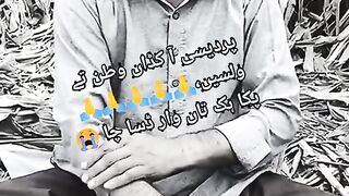 پردیسی سجن